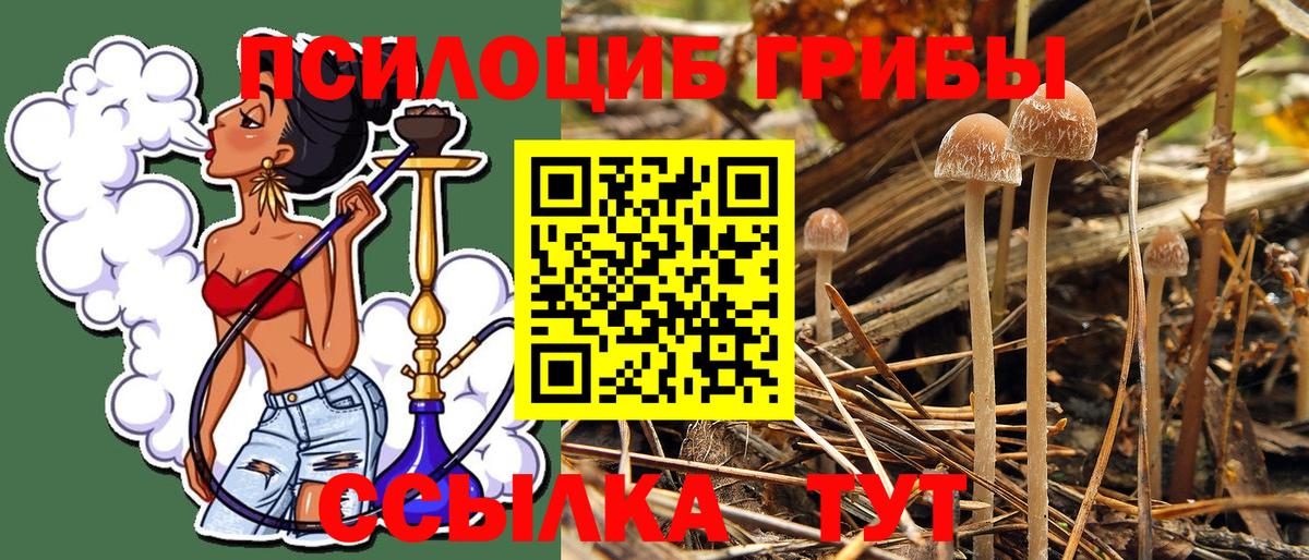 Псилоцибиновые грибы MAGIC MUSHROOMS  Вход с VPN  Новошахтинск  Галлюциногенные грибы GOLDEN TEACHER 