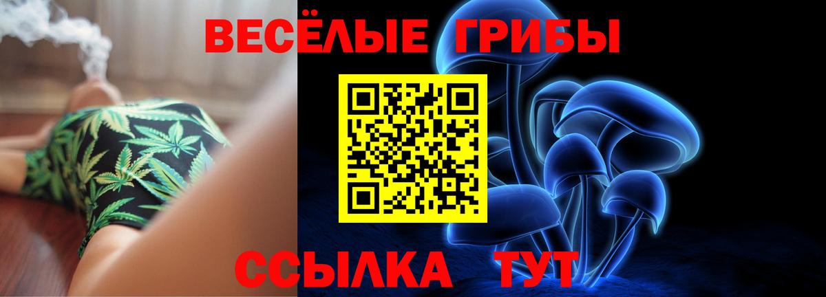 МЕТАДОН Новошахтинск